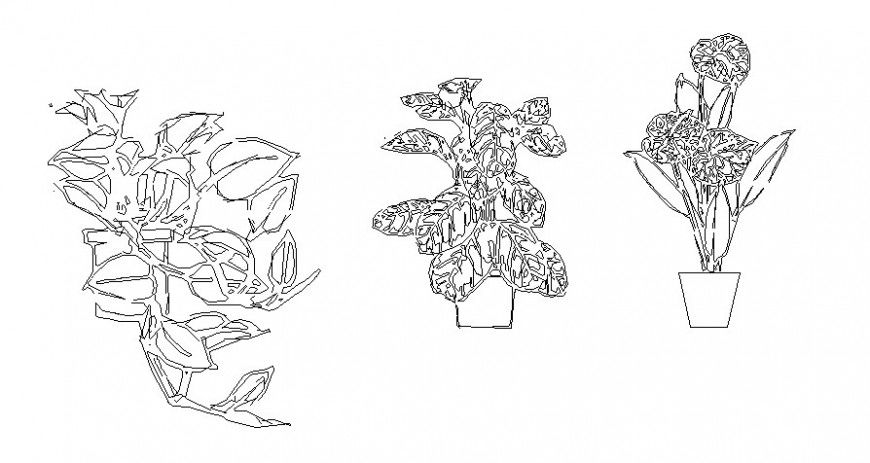 Bonsai landscaping plants 2d drawing in AutoCAD software