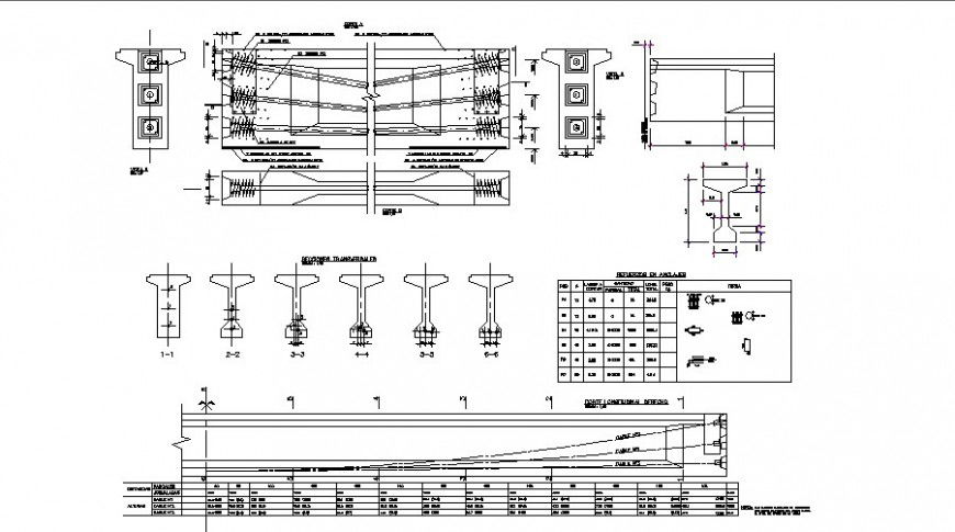 Bridge section and construction drawing details with pillars dwg file