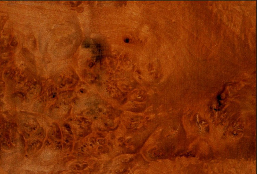 Burl oak material texture design in 3ds max file.