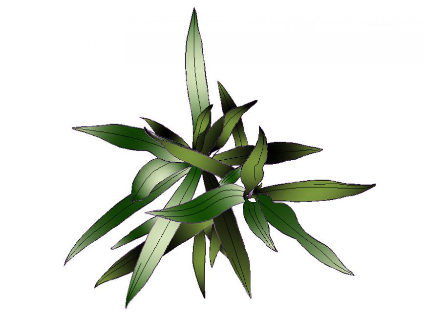 Bush tree plant 3d drawing cad block details dwg file