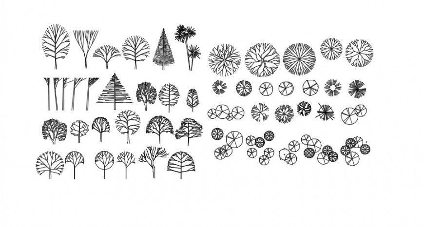 Bushes and plants 2d detail dwg file