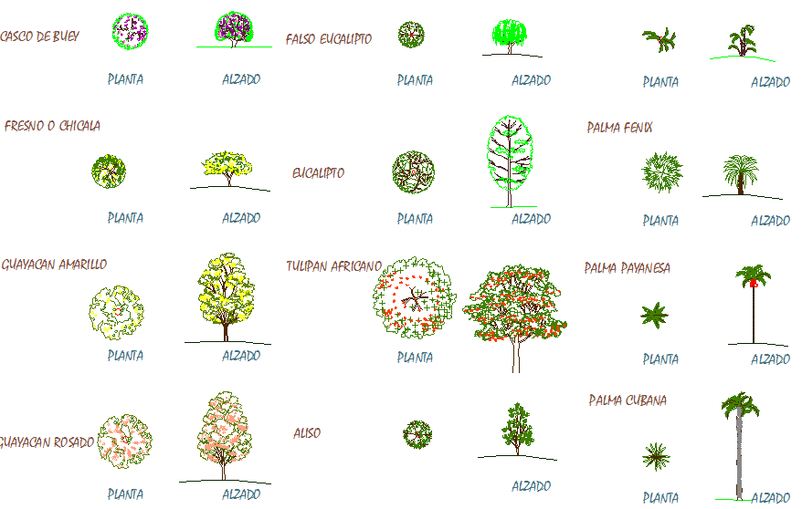 AutoCAD DWG File Featuring 2D Tree CAD Blocks with Plan Views