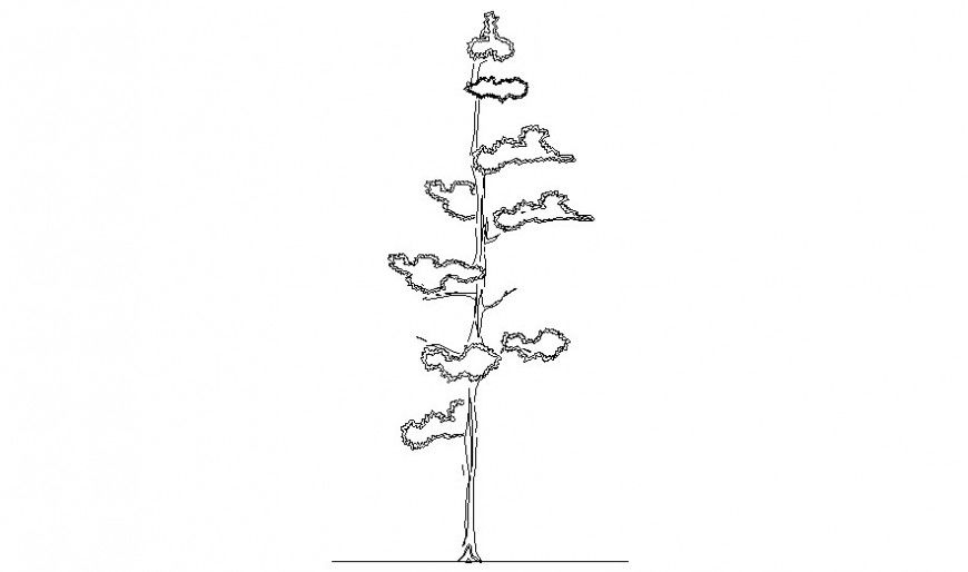 Cad drawing of trees landscaping units 2d view in autocad