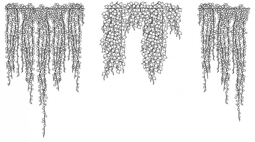 CAD drawings details of hanging shrubs 2d view dwg file