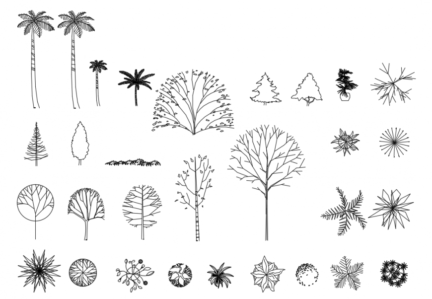 Cad drawings details of   trees style long root
