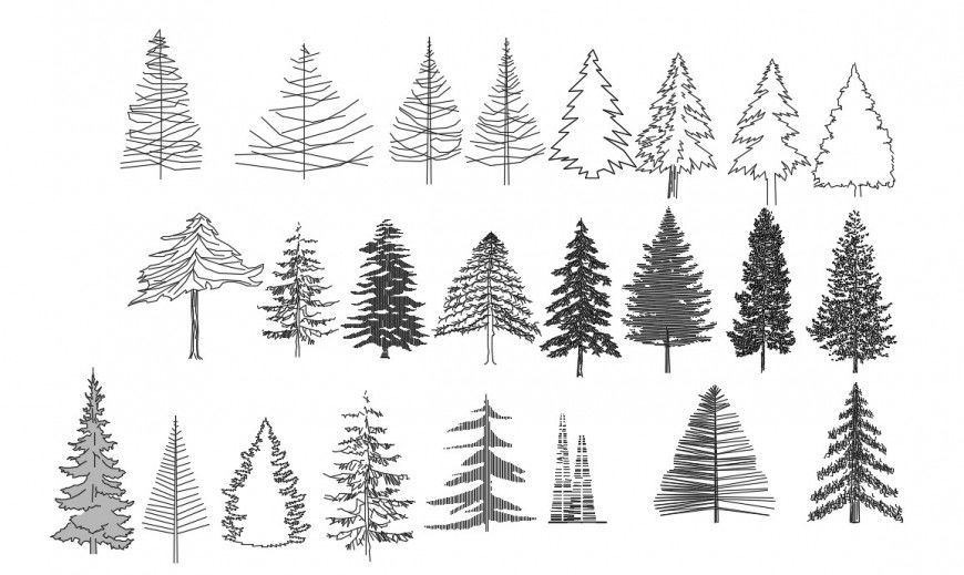 CAd drawings details of  front elevation of cross lined trees