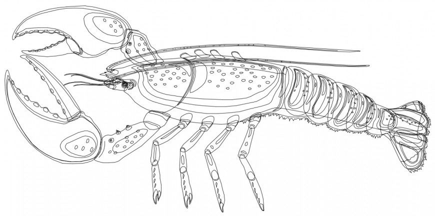 CAd drawings details of  long crab  