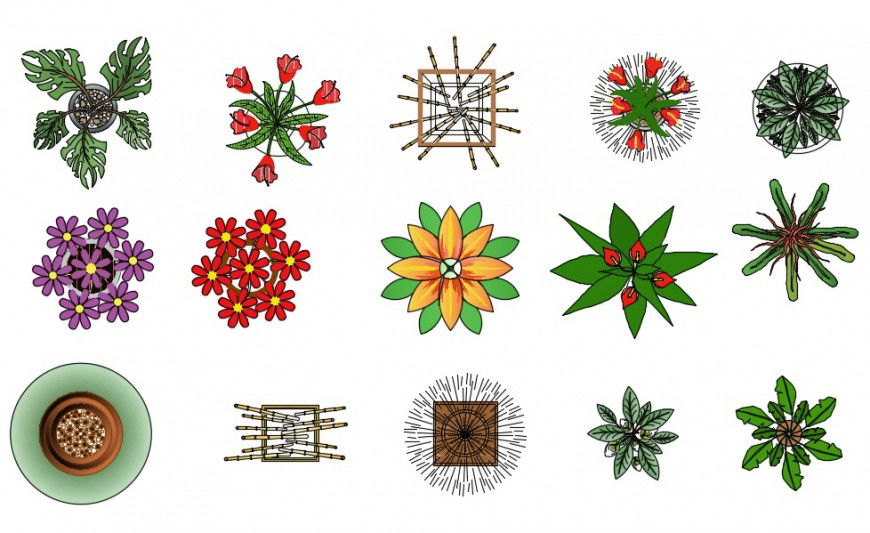 CAd drawings details of Potted plant colorful types plan