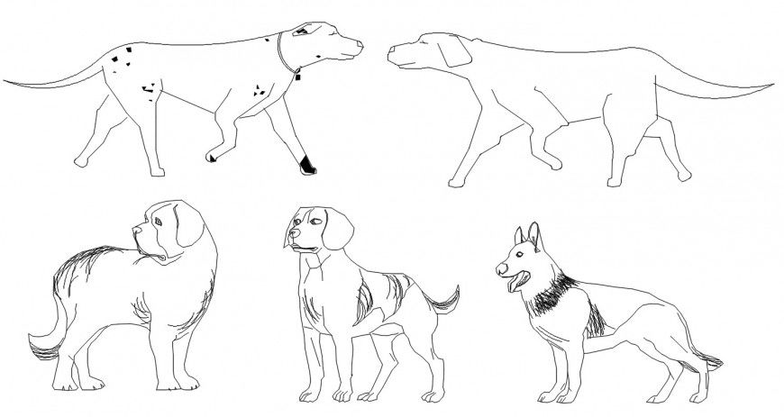 Cad drawings details of top view of dogs 