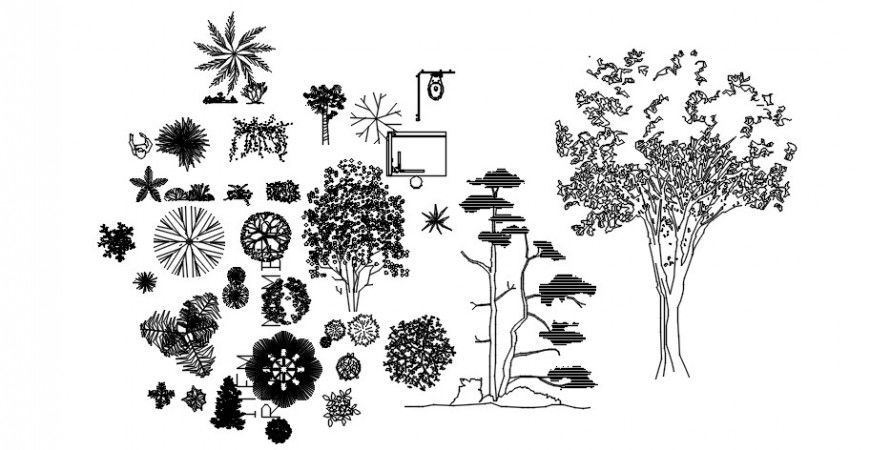 Cad drawings details of   rooted shredded trees