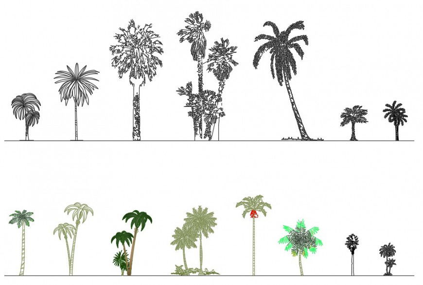 CAd drawings details of  colorful palm trees