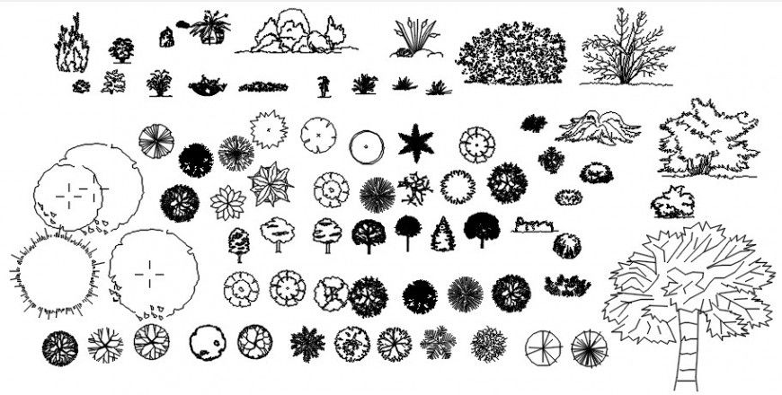 CAd drawings details of  front view of cracky trees
