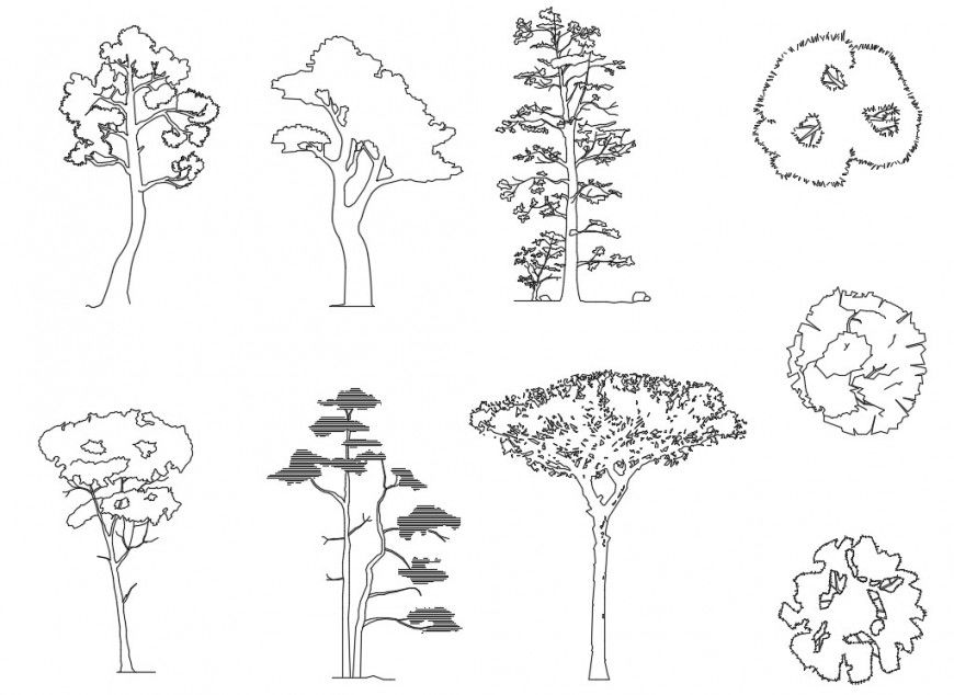 CAd drawings details of  longed ping pong trees