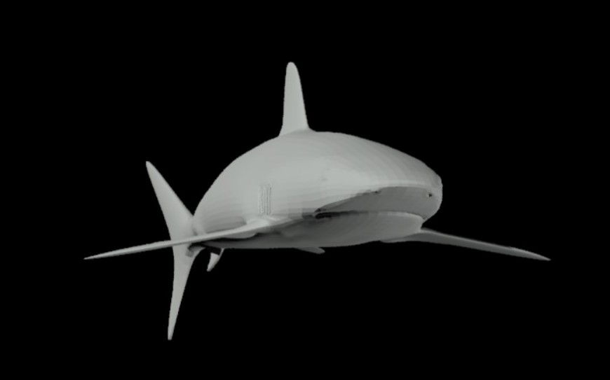 CAd drawings details of  sharp shark in water