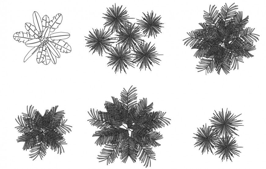 CAd drawings details of top elevation of large bushy leaves