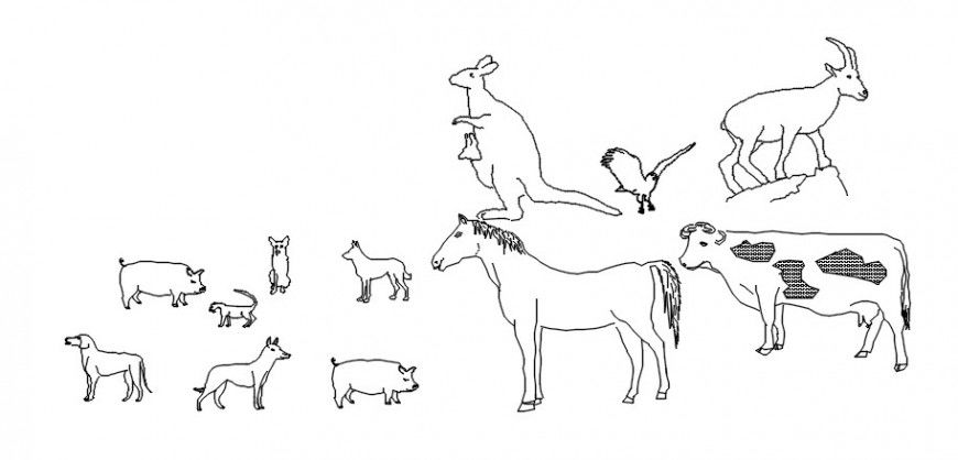 CAd drawings details of  top view cattle  