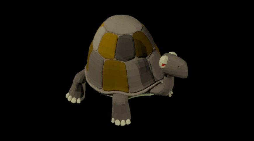 CAd drawings details of 3d turtle-tortise
