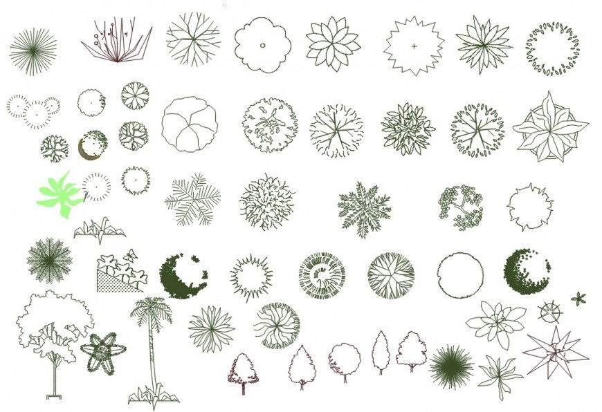 Cad drawings details of a greeny top view of flower pots around and curved  
