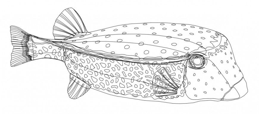 CAd drawings details of aquatic fish  