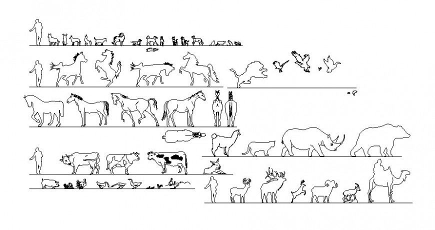 Cad drawings details of cattle and horse
