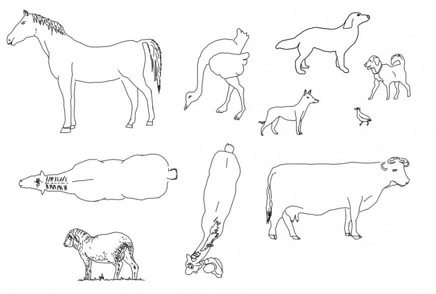 CAd drawings details of different type of animal
