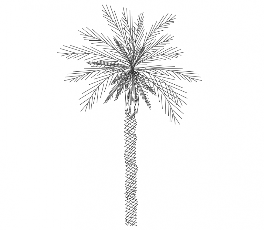 Cad drawings details of front elevation of  spikes trees