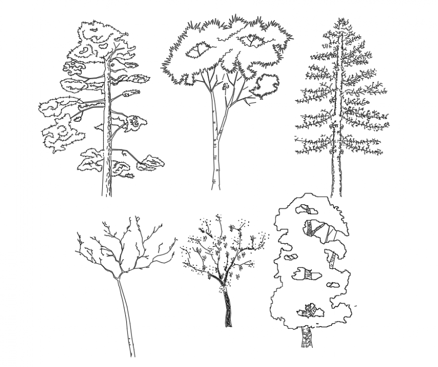 CAd drawings details of front elevation of six types trees