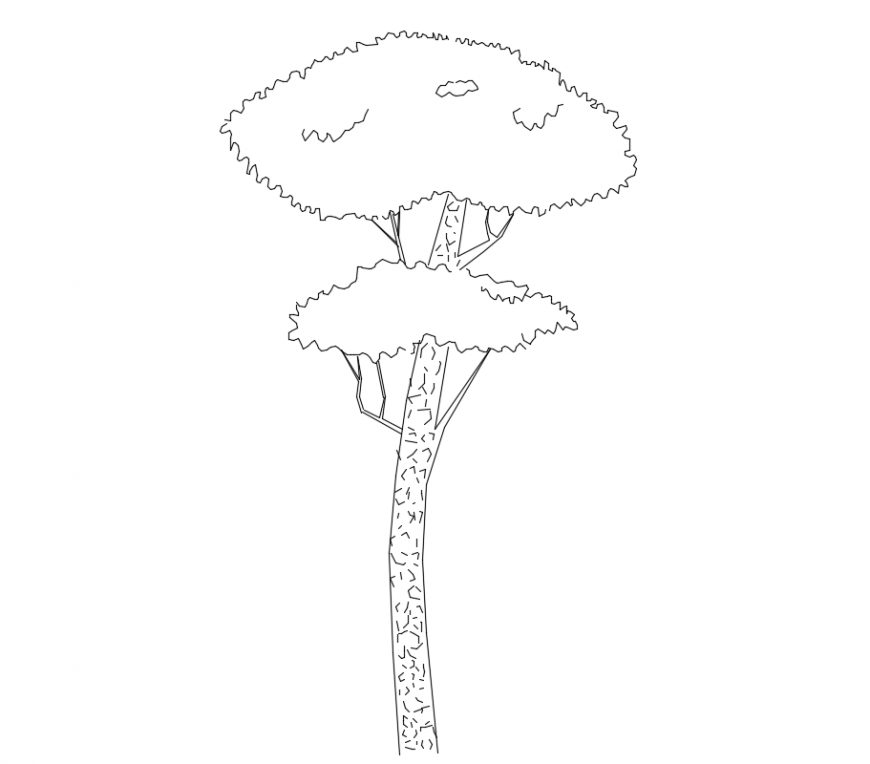 Cad drawings details of front elevation of two rooted trees