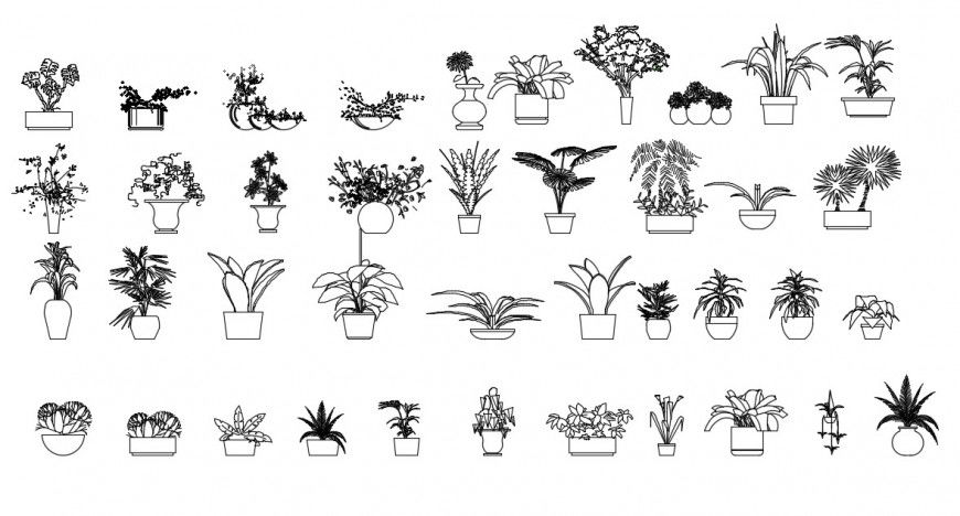 CAd drawings details of garden flower plants