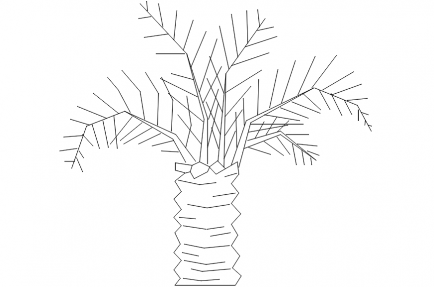 CAd drawings details of long  cracked short  tree