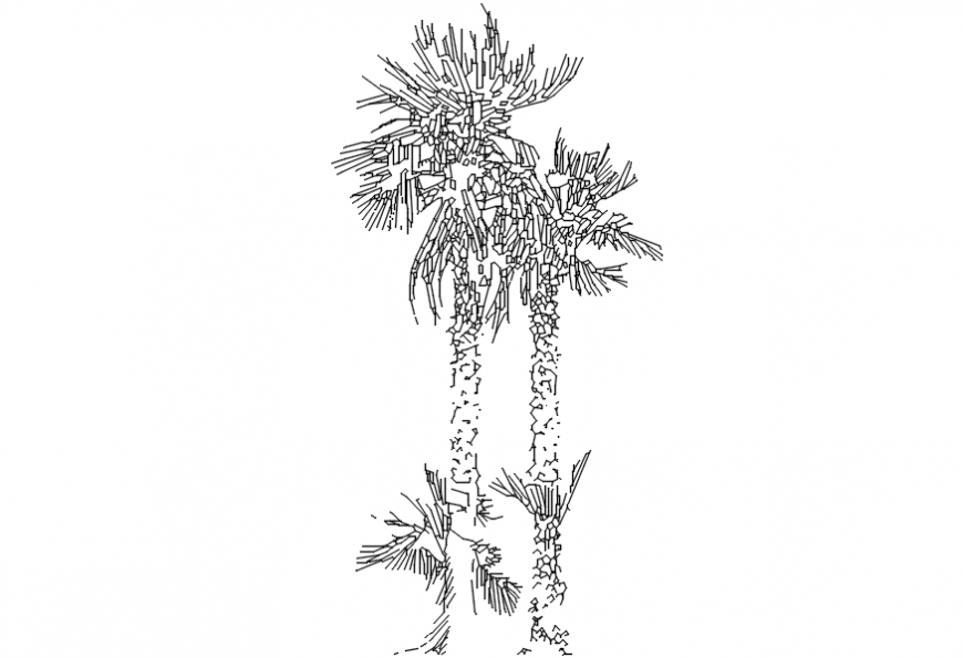 CAd drawings details of long and  hidden stem leaf rooted  tree