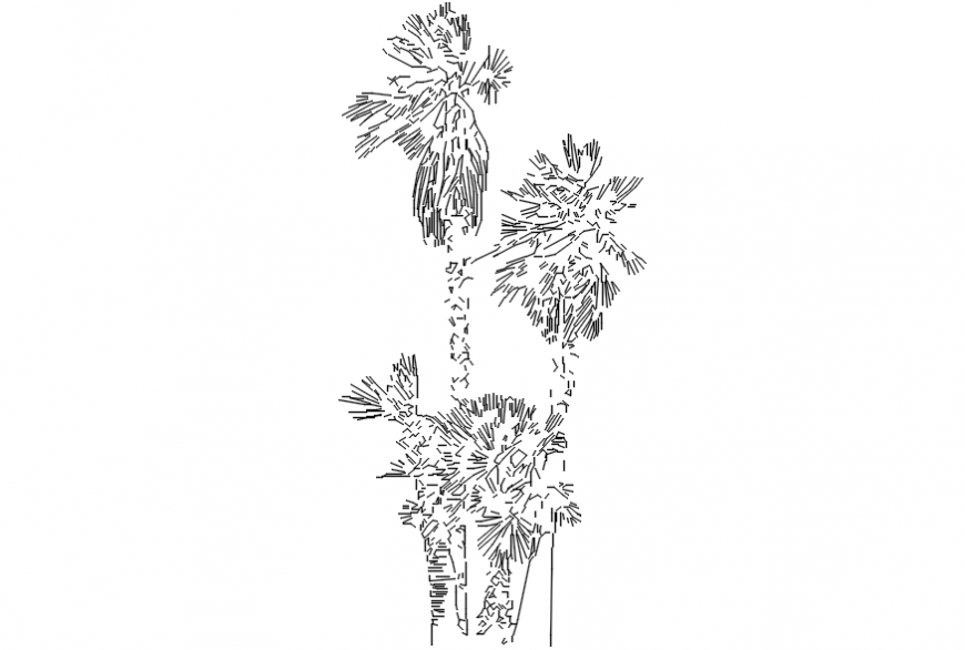CAd drawings details of long and mid-stem leaf