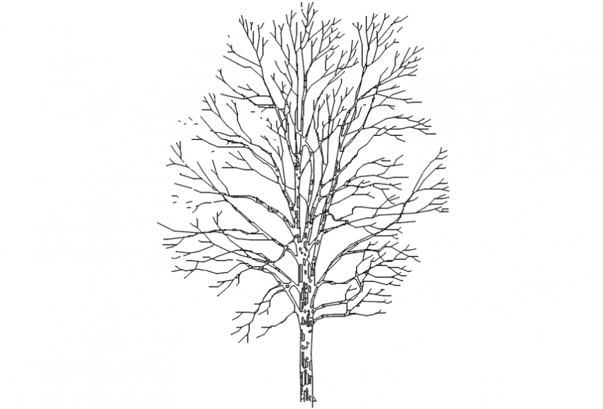 CAd drawings details of mixed long shredded  thin leaves