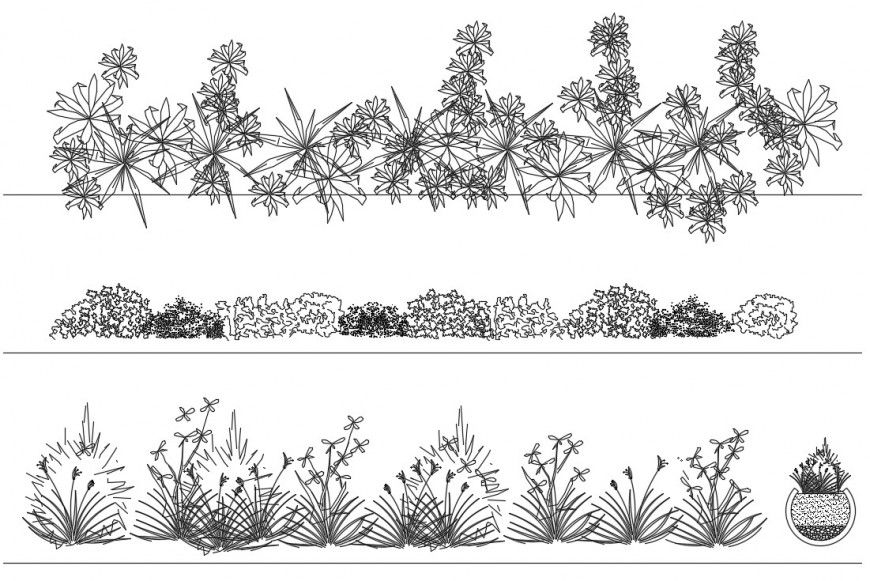 CAd drawings details of plants front  elevation