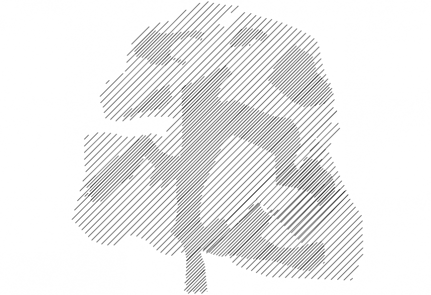 CAd drawings details of round curve  tree