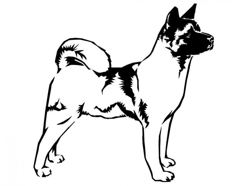 CAd drawings details of side view of small dog  