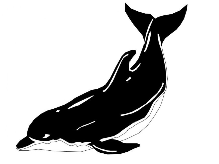 CAd drawings details of small cute shark