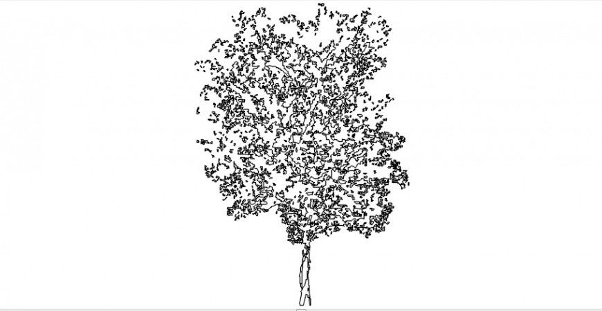 Cad drawings details of the front view of long tree