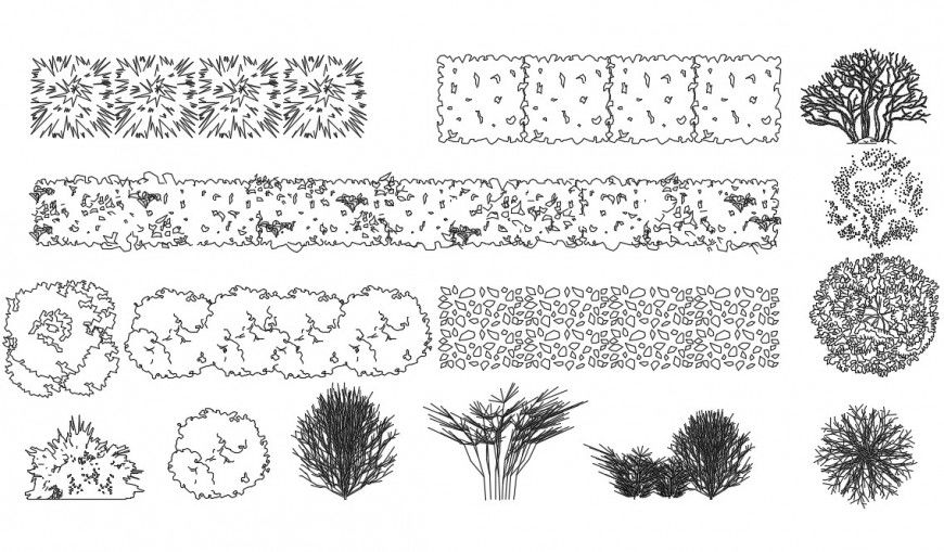 CAd drawings details of top elevation  of bushes