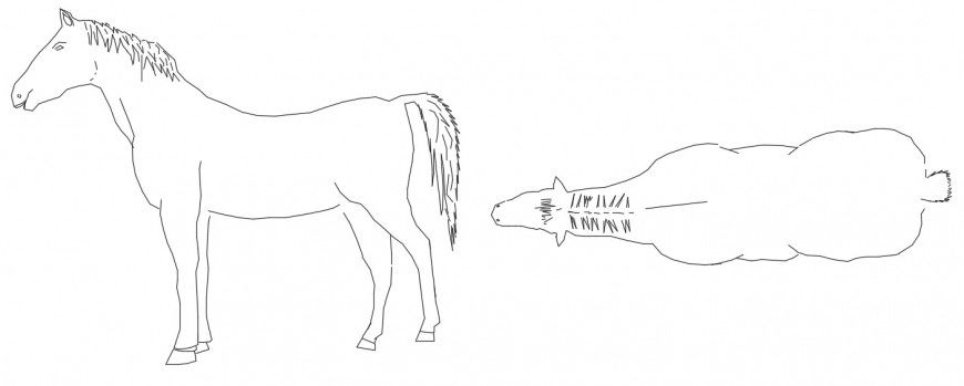 CAd drawings details of top view of horse