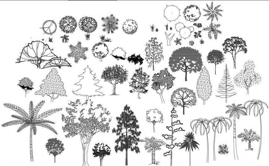Cad drawings details of various kinds of trees  
