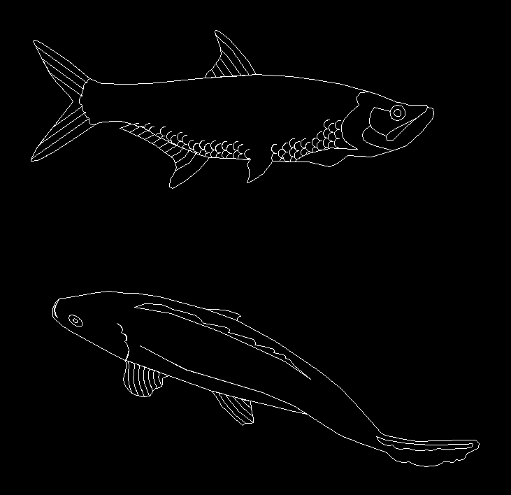 2D Fish CAD DWG drawing for decorative and architectural designs
