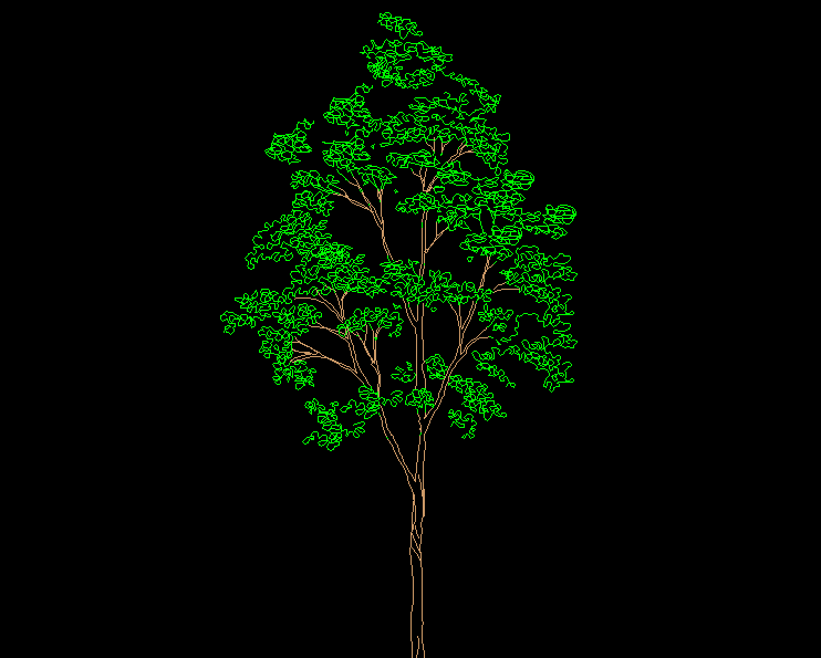 Heighted Tree CAD Drawing with Detailed 2D Front Elevation View