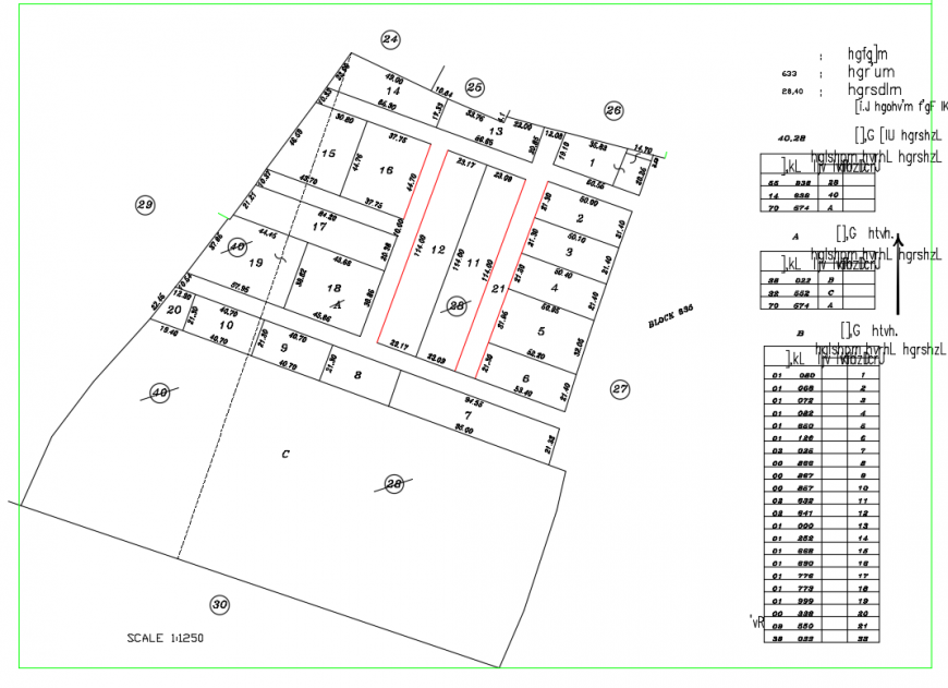City Planing Lay-out design in DWG file