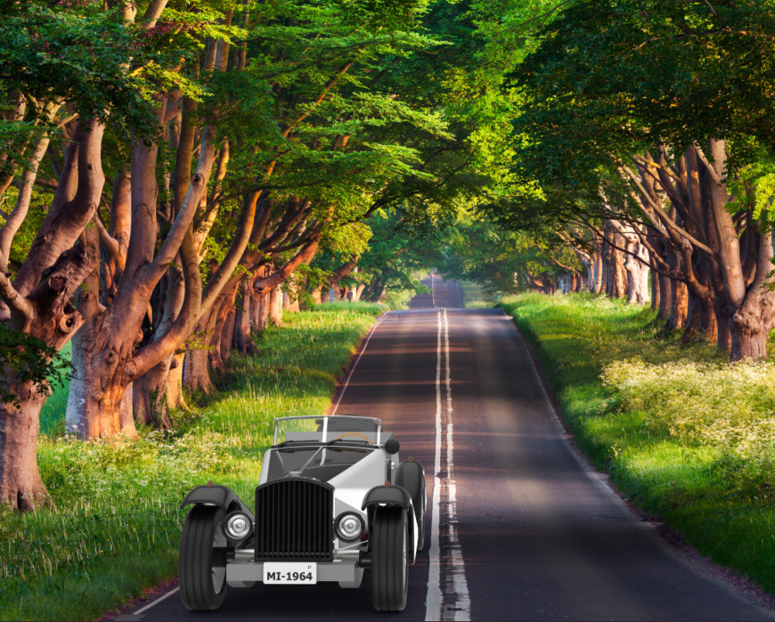 Classical vintage car front view 3d with nature location cad drawing details dwg file