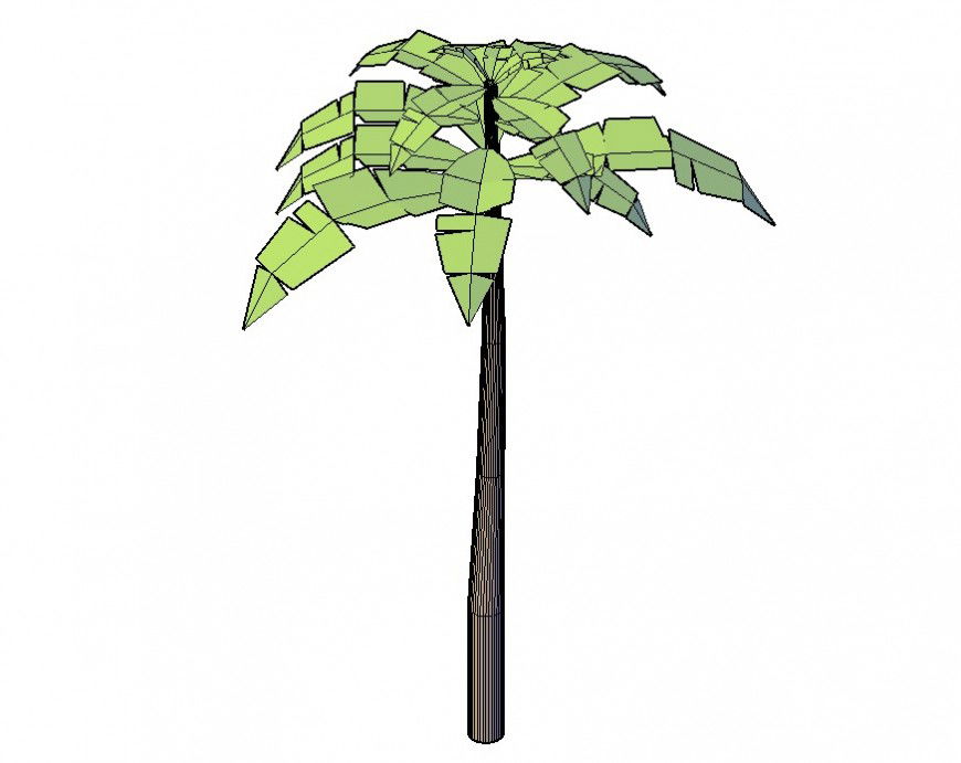 Coconut palm tree detail 3d model CAD blocks layout file in dwg format