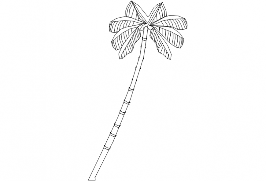 Coconut tree 2d elevation block drawing details dwg file