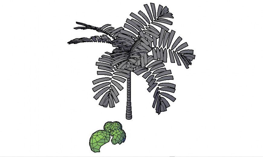 Coconut tree 3d elevation block drawing details dwg file
