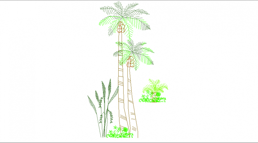Coconut tree and plant block design cad drawing details dwg file