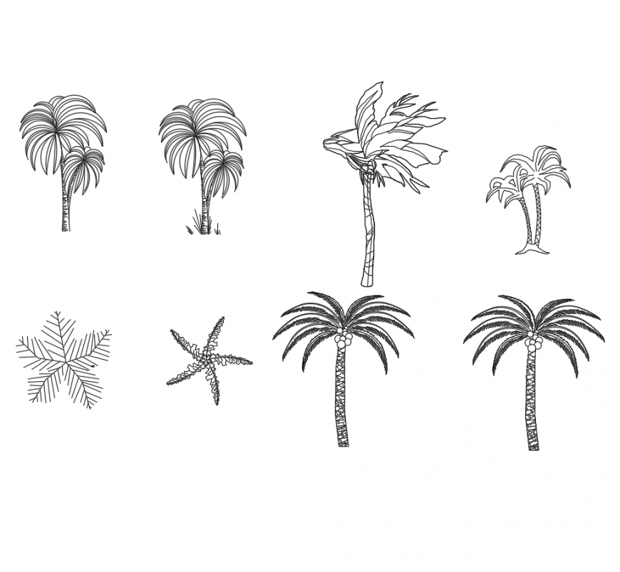 Coconut Tree and Plants CAD Block DWG File with Detailed Models